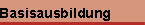 Basisausbildung