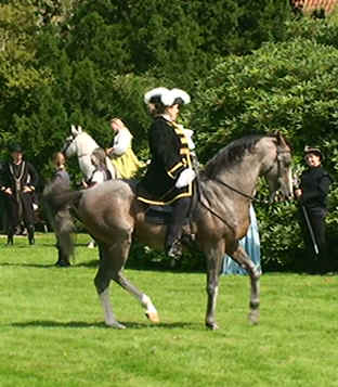 Coquelitcot in der Traver