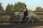 Pegasus Nachher Pegasus Nachher