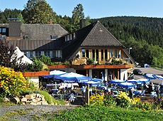 Freisitz – Terrasse Freisitz – Terrasse