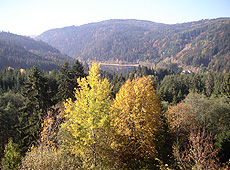 Herbstlandschaft im Schwarzwald