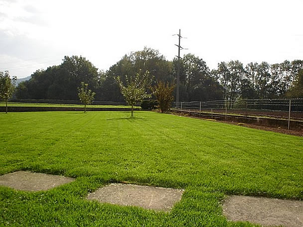 Gartenbau | Rasenanlagen | Kundeng�rtner Alex Fiore | Neuendorf