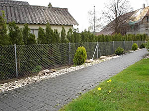 Gartenbau | Z�une | Kundeng�rtner Alex Fiore | Neuendorf