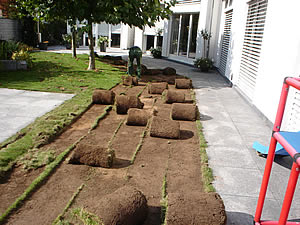 Gartenbau | Referenzen | Kundeng�rtner Alex Fiore | Neuendorf