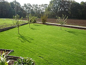 Gartenbau | Rasenanlagen | Kundeng�rtner Alex Fiore | Neuendorf