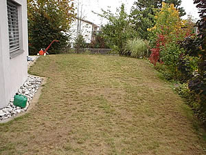 Gartenbau | Referenzen | Kundeng�rtner Alex Fiore | Neuendorf
