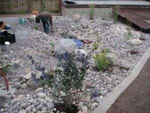 An der Arbeit|Teich|Kundeng�rtner Fiore|Neuendorf