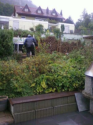 Gartenbau | Referenzen | Kundeng&auml;rtner Alex Fiore | Neuendorf