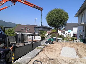 Stahlbecken|Kundeng&auml;rtner Fiore|Neuendorf