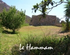 Hammamm.jpg