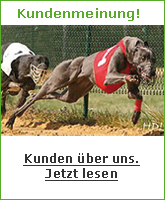 Onlineshop-Kundenmeinung
