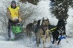 Hundesport