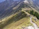 alp.so 018.jpg