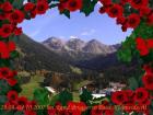 alp.so 022.jpg