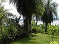 Paraiso al Lago in Paraguay