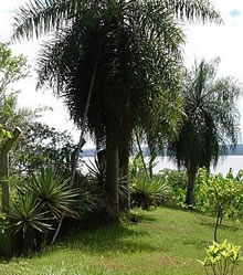 Musterh�user - Paraiso al Lago - Paraguay