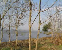 Musterh�user - Paraiso al Lago - Paraguay