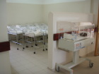 p1010255.jpg