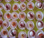 Am&uuml;s G&auml;u - Partyservice, Catering, Fingerfood, Flying buffet, B&auml;nderbrote, L&ouml;ffelfood