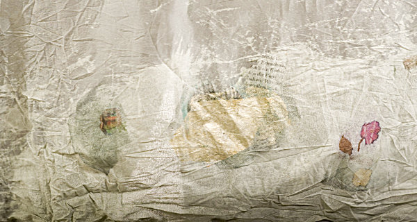 detail2-start.jpg