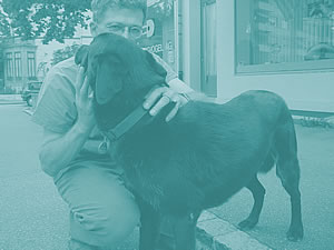 osteopathie_hund