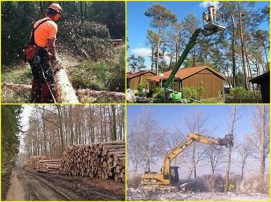 ANJ Forstservice - Ihr zertifiziertes Unternehmen f&uuml;r Holzhandel und Forstdienstleistungen