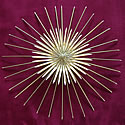 Grasrosette Grasrosette