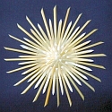 Strohrosette C Strohrosette C