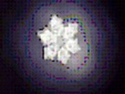 Wasser mit WillauTronic Mikrowellen-Chip