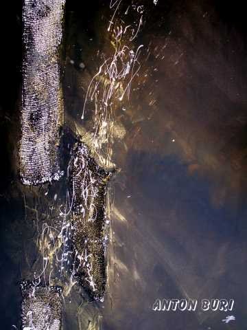Aufgel&ouml;st, Acryl auf Leinwand mit Keilrahmen, Rander bemalt, Anton Buri, Kunst + Architektur, Lohn - Ammannsegg, Schweiz