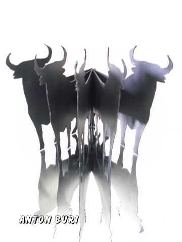 Der Stier ist los und spiegelt sich im NIchts, Modellfotografie von Anton Buri, Kunst + Architektur, Lohn - Ammannsegg, Schweiz