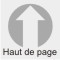 haut