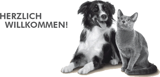 Tierarzneimittel f&uuml;r Hunde und Katzen