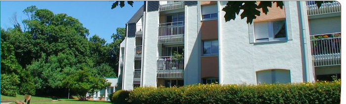 image6_bis.jpg