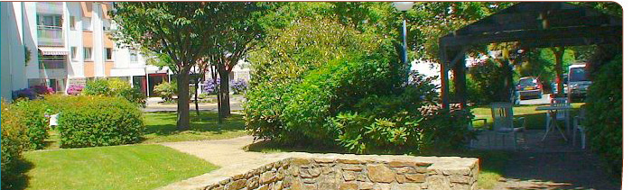 image7bis.jpg