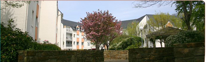 image3bis.jpg