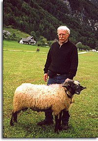 Z�chter des Alpinen Steinschafs Viktor Prusko