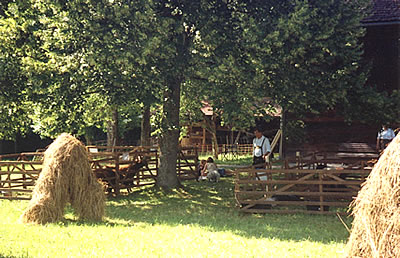 Tag der bedrohten Nutztierrassen im Bauernhausmuseum Amerang im Juni 2008