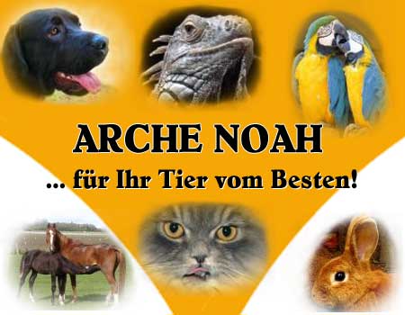 Arche Noah