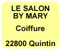 le salon by mary quintin