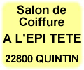 salon de coiffure &agrave; l'&eacute;pi t&ecirc;te quintin