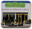 fleurs et plantes fleuriste quintin