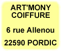 art'mony coiffure pordic plerin