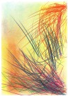 154 - Anne-Hélène Faessler - Le rêve coloré 154 - Anne-Hélène Faessler - Le rêve coloré