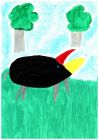 348 - Yvette Patriat - Drôle d'oiseau 348 - Yvette Patriat - Drôle d'oiseau