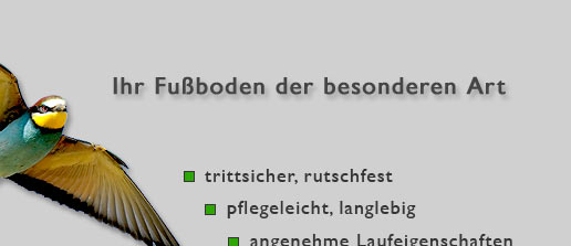 Gussasphalt und BituTerrazzo&reg;