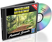 Natural Sound Vol. 03 - Woodland Bridalway