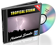 Natural Sounds Vol. 2 - Torrential Rain