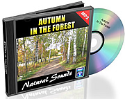 Natural Sounds Vol. 06 - Autumn in the Forest
