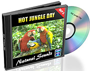 Natural Sounds Vol. 10 - Hot Jungle Day